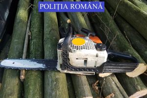 Hoţi de lemne din Maramureş, prinşi la furat în judeţul Satu Mare