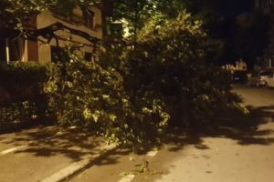 Vântul face PRĂPĂD la Piteşti!