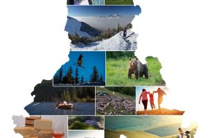 Consultare online privind liniile de dezvoltare ale judeţului Harghita, pentru anii 2021-2027