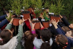 Primii copii din Bistriţa care au adoptat câte un brăduţ învaţă la ”Ștefan cel Mare”