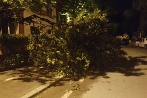 Vântul a depăşit viteza maximă admisă prin localităţi!