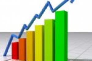 Unde-i cap, acolo sunt şi rezultate. Primăria Berzasca – exemplu de bune practici în managementul intern