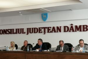 Extinderea gropii de gunoi Titu, blocată de liberali în CJD