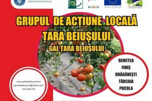 GAL Ţara Beiuşului anunţă public lansarea sesiunii de cerere de proiecte LEADER pentru măsura 7/ 6C 