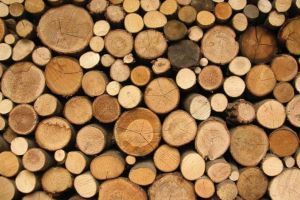 Razie la un depozit de lemne din Gura Râului – Patronii amendaţi cu 10.000 de lei