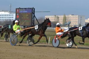 Finalul de sezon vine cu multe premii