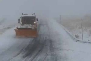 VIDEO| Acţiune de deszăpezire în zona staţiunii Rânca