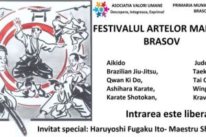 Demonstraţii de arte marţiale, în weekend, la Braşov