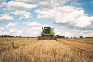 Fermieri din Harghita finanţaţi de Ungaria. A început semnarea contractelor de subvenţionare