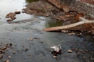 Imaginea zilei: Scaun la apa, pe raul Sasar