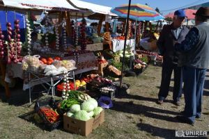 FOTO/LIVE VIDEO: Târgul Apulum Agraria 2017 – Bunătăţi tradiţionale, concursuri, demonstraţii culinare şi expoziţii de animalela Alba Iulia