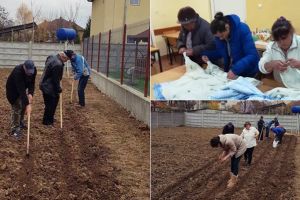 FOTO. Oamenii străzii au plantat legume şi au făcut curăţenie la Adăpostul de Noapte