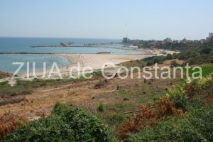 Intabulata ca poligoane:  ABADL a invocat Constitutia pentru a lua plaja inapoi de la Primaria Constanta. Ce spune instanta
