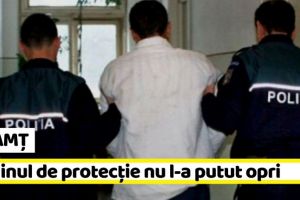 NEAMȚ: Reţinut pentru încălcarea ordinului de protecţie