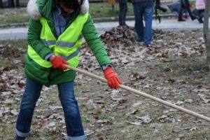 Târgu-Mureş: Programarea străzilor pentru curăţenia de toamnă