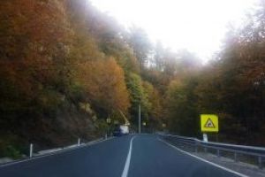 Actiune de taiere a arborilor marcati care pot pune in pericol desfasurarea circulatiei rutiere in Pasul Gutai