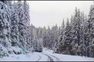 VIDEO. Peisaje de poveste spre Obârşia Lotrului. Iarna a pus stăpânire peste natură