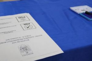 Decizie. Partidele vor transmite AEP numărul cererilor pentru obţinerea copiilor după listele suplimentare