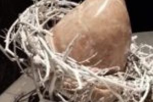 Lucrările celei de-a XVI-a ediţii a taberei Gernik Art Camp, expuse la Galeria Primăriei Timişoara