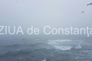 O nava plina cu oi, in pericol de scufundare, in Portul Midia 