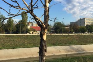 Consilierul PNL Răzvan Timofciuc dezinformează opinia publică