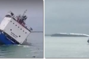 O navă cu 14.000 de oi la bord s-a răsturnat, în Portul Midia. Un marinar salvat din apă
