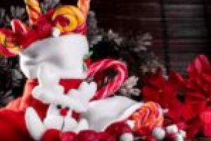 Un Moş Nicolae special în capitala culturală Timişoara