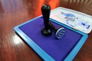 #PREZIDENȚIALE2019 – Romii din Potlogi, neintersaţi de alegerea preşedintelui