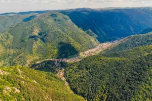 Alegeri Prezidenţiale 2019, Turul II: O comună din Alba, scor RECORD pentru Klaus Iohannis, cu un procent de peste 91%