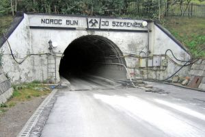 Ursul a creat panică aseară în preajma Salinei Praid