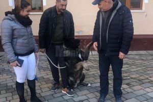 Alexandru Băişanu a votat pentru o „Românie demnă”