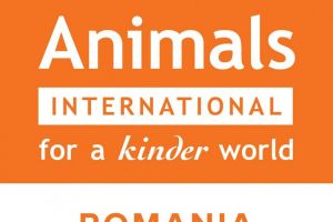 Animals International condamna tragedia din portul Midia: Putea fi evitata daca existau proceduri pentru astfel de situatii de urgenta 