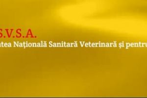 Precizari privind actiunile specifice ANSVSA intreprinse in cazul incidentului din Portul Midia  