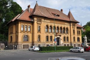 Lansarea tratatului intitulat „Arta din România: din preistorie în contemporaneitate” va avea loc la Braşov