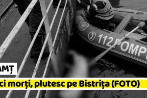 NEAMȚ: Porci morţi, plutesc pe Bistriţa (FOTO)