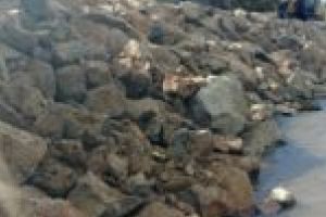 Intervenţii de urgenţă! 3,2 milioane de lei pentru şapte lucrări vitale împotriva inundaţiilor!