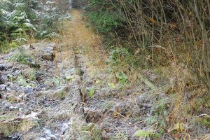 Trenuri scăpate de sub control, în cele mai mari accidente de cale ferată petrecute în ...