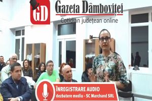 Nereguli la SC Marchand SRL descoperite în consultarea publică de la Primăria Brăneşti a