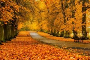 PROGNOZA METEO. Vremea se încălzeşte în următoarele zile. Se anunţă temperaturi maxime de până la 17 grade