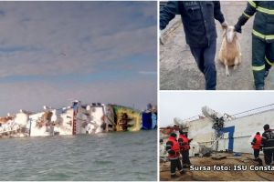 Cronologia unei bajbaieli:  Plan de interventie pentru scoaterea cadavrelor din nava scufundata in Portul Midia, in bataia vantului  