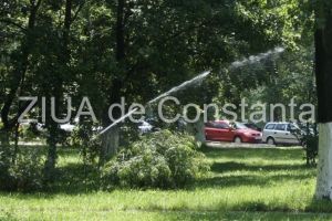 Primaria asteapta oferte pentru reabilitarea sistemului de irigat din municipiul Constanta si statiunea Mamaia