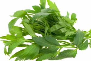 Proprietatile benefice ale leusteanului 