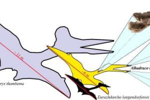 S-au descoperit fosile ale unei reptile zburătoare ce a trăit în Transilvania