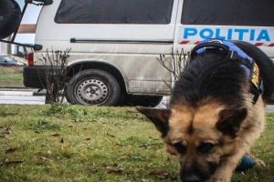 Cumplit! Fetiţa de 10 ani, dată dispărută, a fost găsită. Unde a stat pe timpul nopţii şi unde au găsit-o poliţiştii!