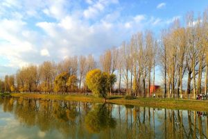 Vremea se încălzeşte spre prânz! Temperaturile ajung la 13 grade