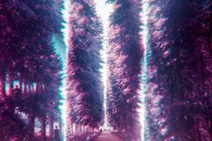 HOROSCOP. Luna Nouă în SĂGETĂTOR 2019: Zodiile pentru care încep zile grele, pline de supărare