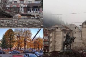 VIDEO. Platanii seculari din Câmpeni, tăiaţi pe întuneric de frica unor proteste: ”A început nebunia! De ce atacă doar noaptea, ca ultimii hoţi?”