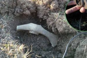 EXCLUSIV! FOTO: Topor din eneolitic descoperit în Mureş!