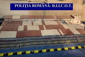 DIICOT: Grupari infractionale organizate in Botosani (galerie foto)