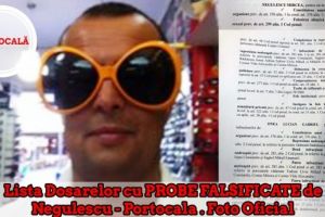 Inalta Curte le da fatala lui Onea&Portocala: ÎCCJ a DECIS că SIIJ funcţionează LEGAL